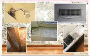 Improving Indoor Air Quality for Healthy Student Housing - Innovative Dehumidifiers Systems