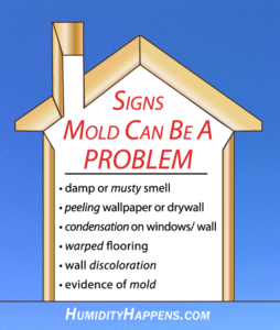 Can a dehumidifier help prevent mold? - Innovative Dehumidifiers Systems