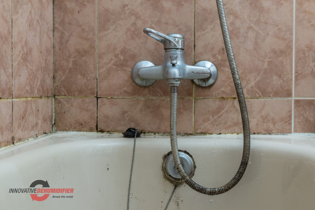 Mold on Bathroom Fixture