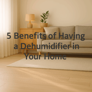 5 Surprising Benefits of Having a Dehumidifier in Your Home - Innovative Dehumidifiers Systems